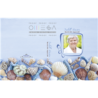 Seashells Register Book Package